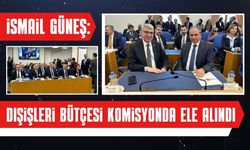 İsmail Güneş: Dışişleri Bütçesi Komisyonda Ele Alındı