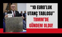 “10 Euro’luk Utanç Tablosu” TBMM’de Gündem Oldu