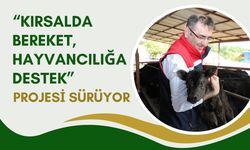 “Kırsalda Bereket, Hayvancılığa Destek” Projesi Sürüyor