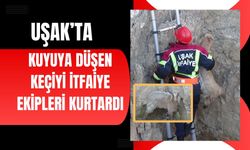 Kuyuya Düşen Keçiyi İtfaiye Ekipleri Kurtardı