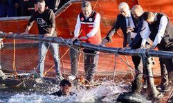 Türkiye, Su Ürünleri Üretiminde Avrupa’da Zirvede