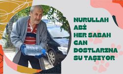 Nurullah Abi Her Sabah Can Dostlarına Su Taşıyor