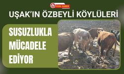 Uşak’ın Özbeyli Köylüleri Susuzlukla Mücadele Ediyor