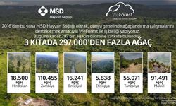 MSD Hayvan Sağlığı ve WeForest 297 Bin Ağaçla 10. Yılında