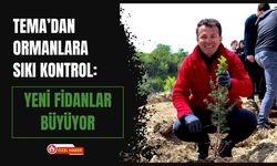 TEMA’dan Ormanlara Sıkı Kontrol: Yeni Fidanlar Büyüyor
