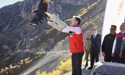 Munzur Vadisi’nde Yaşam Yeniden Canlandı