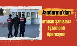 Jandarma’dan aranan şahıslara eşzamanlı operasyon