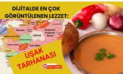 Dijitalde En Çok Görüntülenen Lezzet: Uşak Tarhanası