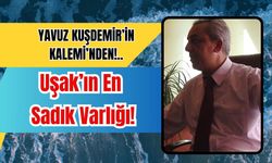 Uşak’ın En Sadık Varlığı: Kıpırdamayan Tramvay