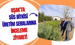 Uşak’ta Süs Bitkisi Üretim Seralarına İnceleme Ziyareti