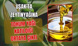 Uşak’ta Zeytinyağına Tohum Yağı Katıldığı Ortaya Çıktı
