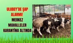 Ulubey’de Şap Alarmı! Merkez Mahalleler Karantina Altında