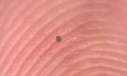 Tuz Tanesinden Küçük Dünyanın En Küçük Otonom Robotları