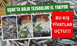 Uşak’ta Balık Tezgahları El Yakıyor, Bu Kış Fiyatlar Uçtu!!!