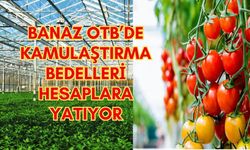 Banaz OTB’de Kamulaştırma Bedelleri Hesaplara Yatıyor