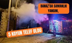 Banaz’da Samanlık Yangını, 5 Koyun Telef Oldu