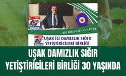 Uşak Damızlık Sığır Yetiştiricileri Birliği 30 Yaşında