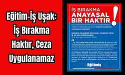Eğitim-İş Uşak: İş Bırakma Haktır, Ceza Uygulanamaz