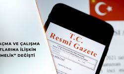 İşyeri Ruhsat Yönetmeliği Değişti, Yetki Bakanlığa Geçti