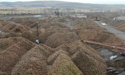 Sukkar Şeker 2025’te Üretim Gücünü Artırdı