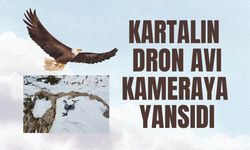 Kartalın Dron Avı Kameraya Yansıdı