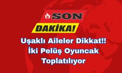 Uşaklı Aileler Dikkat: İki Pelüş Oyuncak Toplatılıyor