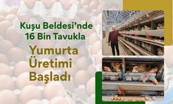 Kuşu Beldesi’nde 16 Bin Tavukla Yumurta Üretimi Başladı