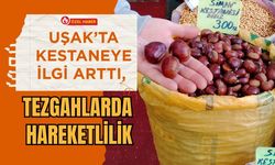 Uşak’ta Kestaneye İlgi Arttı, Tezgahlarda Hareketlilik