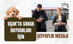 Uşak’ta Sokak Hayvanları İçin Şeffaflık Mesajı
