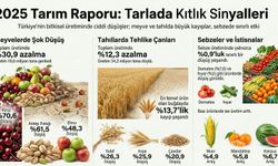 TÜİK Açıkladı, 2025’te Bitkisel Üretimde Sert Düşüş