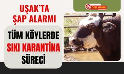Uşak’ta şap alarmı: Tüm köylerde sıkı karantina süreci
