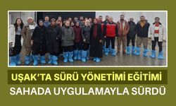 Uşak’ta Sürü Yönetimi Eğitimi Sahada Uygulamayla Sürdü