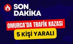 Uşak’ta Tarlaya Devrilen Otomobilde Aynı Aileden 5 Yaralı