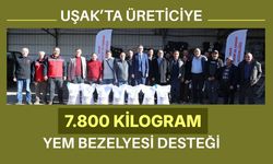 Uşak’ta Üreticiye 7.800 Kilogram Yem Bezelyesi Desteği