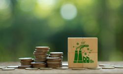 Karbon Salımı Şirketler İçin Yeni Bir Maliyet Kalemi