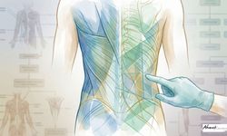 Kaburga Alınmıyor, Bel Şekilleniyor, Yeni Estetik Yaklaşım