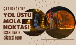 Çarıkköy’de Yol Üstü Mola Noktası Uşaklıların Gözdesi Oldu