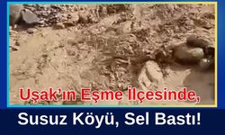 Uşak’ın Eşme İlçesinde, Susuz Köyü Sel Bastı
