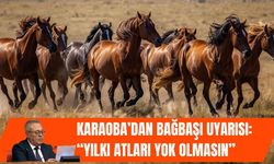 Karaoba’dan Bağbaşı Uyarısı: “Yılkı Atları Yok Olmasın”