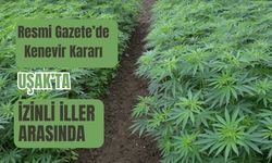 Resmi Gazete’de Kenevir Kararı, Uşak İzinli İller Arasında