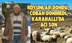 Koyunlar Döndü, Çoban Dönmedi, Karahallı’da Acı Son