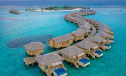 Prontotour 2025 Raporu: Yurt Dışı Kültür Turları Zirvede