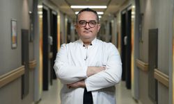 Asitli Gıdalar Sağlıklı Midede Tek Başına Sorun Yapmaz