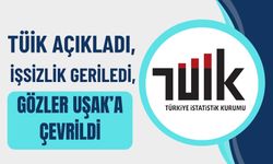 TÜİK Açıkladı, İşsizlik Geriledi, Gözler Uşak’a Çevrildi