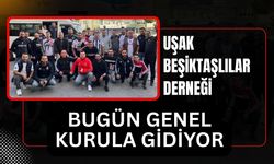 Uşak Beşiktaşlılar Derneği Bugün Genel Kurula Gidiyor