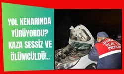 Yol Kenarında Yürüyordu? Kaza Sessiz ve Ölümcüldü...