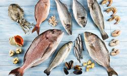 Türkiye Ocakta Balık İhracatını 207 Milyon Dolara Taşıdı