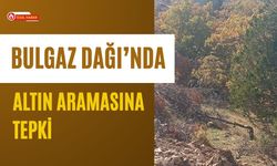 Bulgaz Dağı’nda Altın Aramasına Tepki