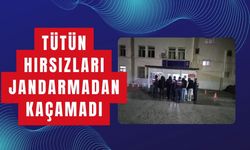 Tütün Hırsızları Jandarmadan Kaçamadı