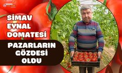 Simav Eynal Domatesi Pazarların Gözdesi Oldu